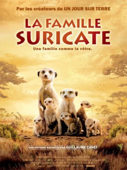 suricate.jpg