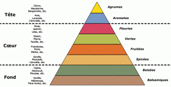 pyramide_parfums.gif