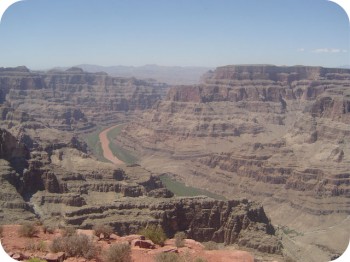 DSC06140.jpg
