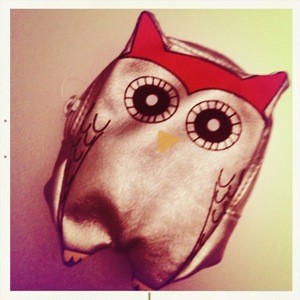 pochette hibou.jpg